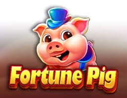 d63com Casino game categories on mobile for Filipino players